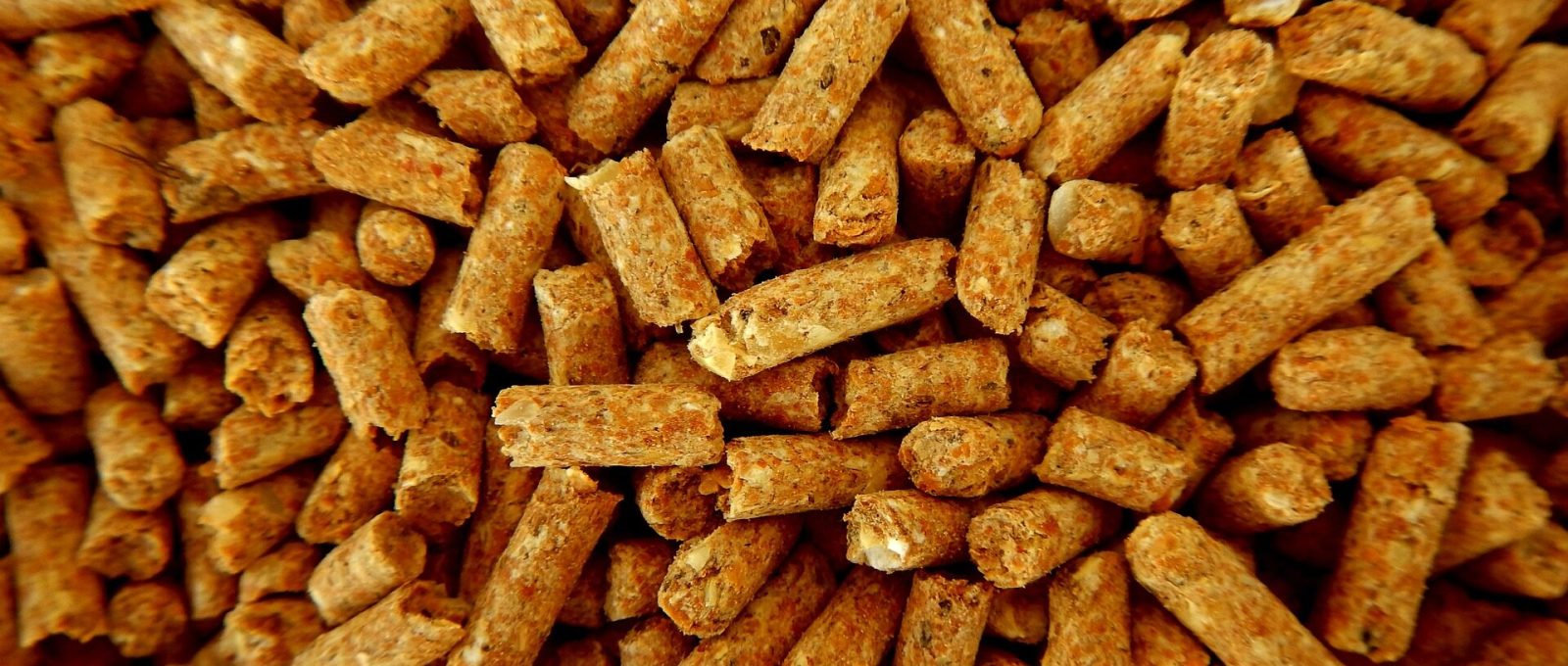 Pellet drzewny - najlepszy w Polsce!