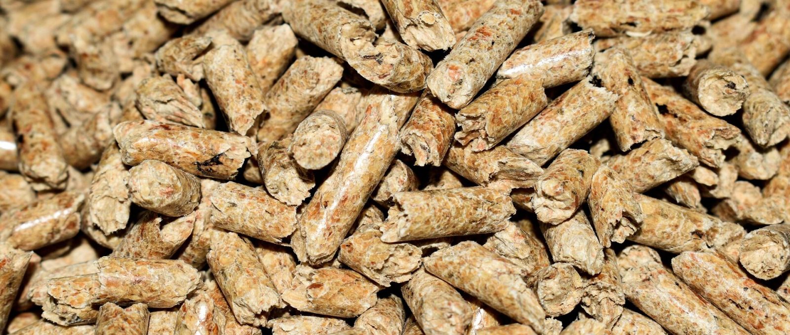 Pellet drzewny